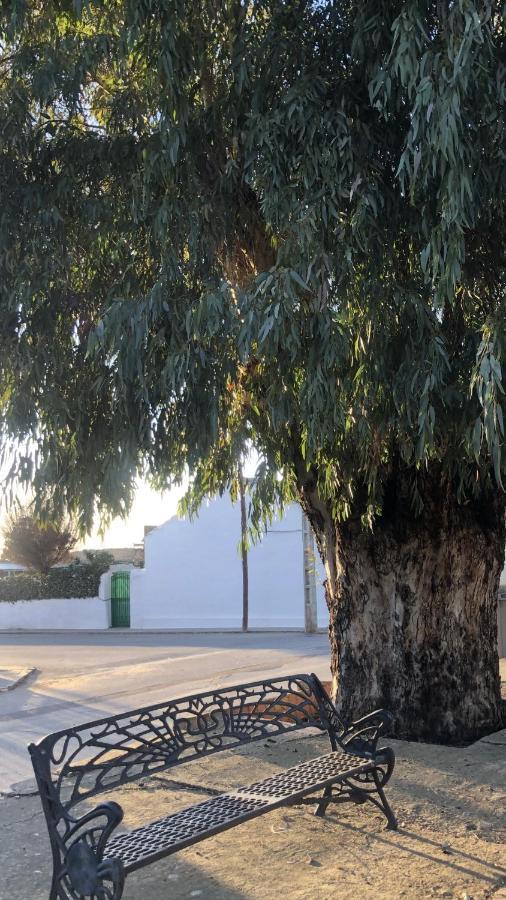 El Granado Βίλα Piedrabuena Εξωτερικό φωτογραφία